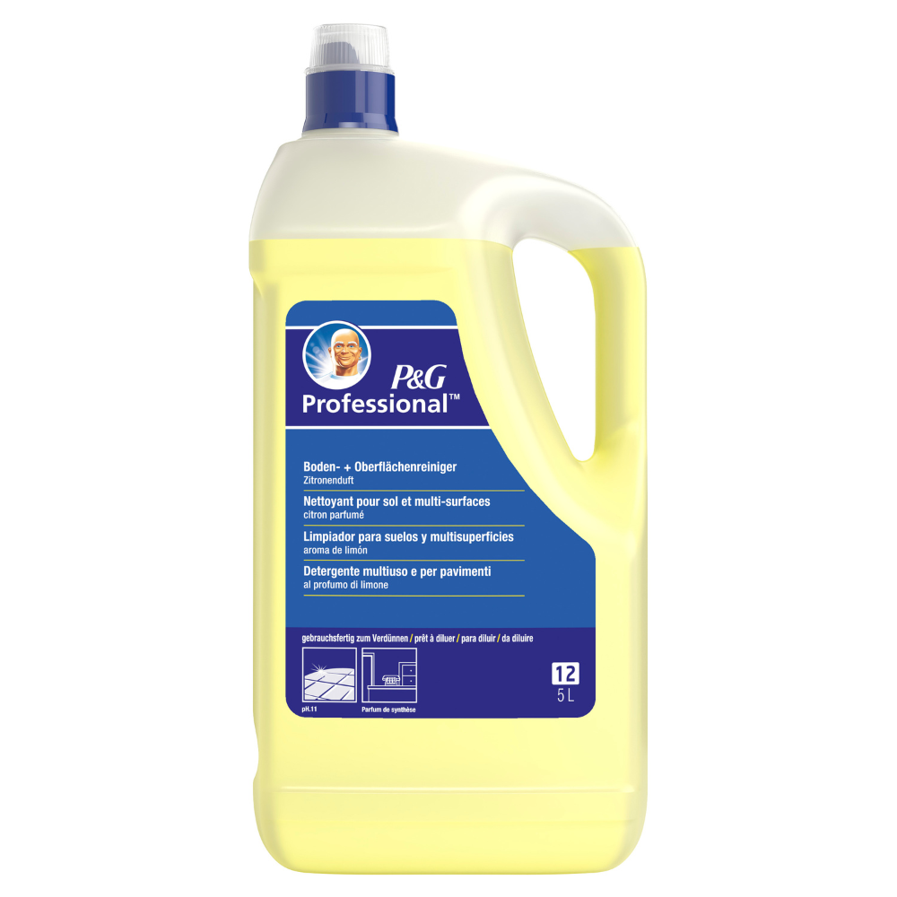 NETTOYANT MULTI USAGE MR PROPRE P&G PROFESSIONAL