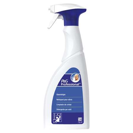 SPRAY NETTOYANT VITRES P&G PROFESSIONAL