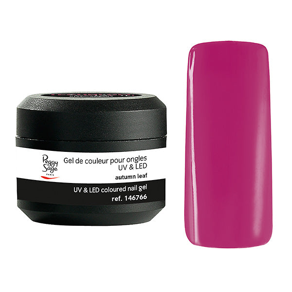 Gel UV&LED autumn leaf