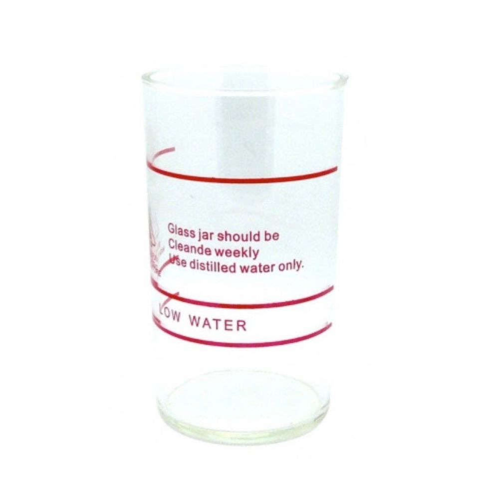 Générateur de vapeur Délio avec / sans ozone