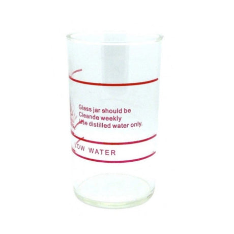 Générateur de vapeur Délio avec / sans ozone